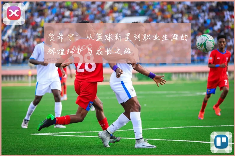 贺希宁：从篮球新星到职业生涯的辉煌转折与成长之路