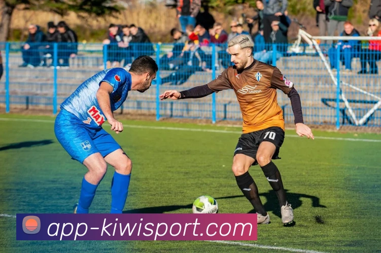 奇异果体育服务体系