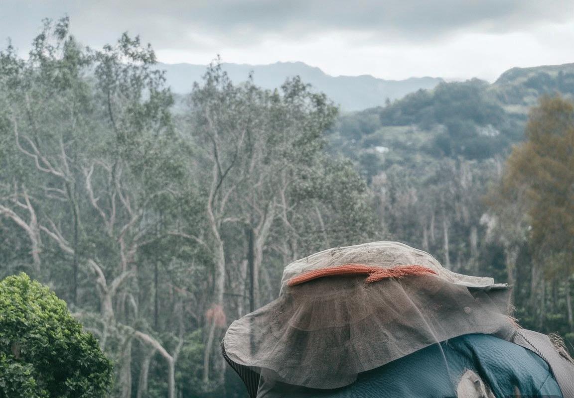 2016德西巅峰对决：激情与战术解析(图3)