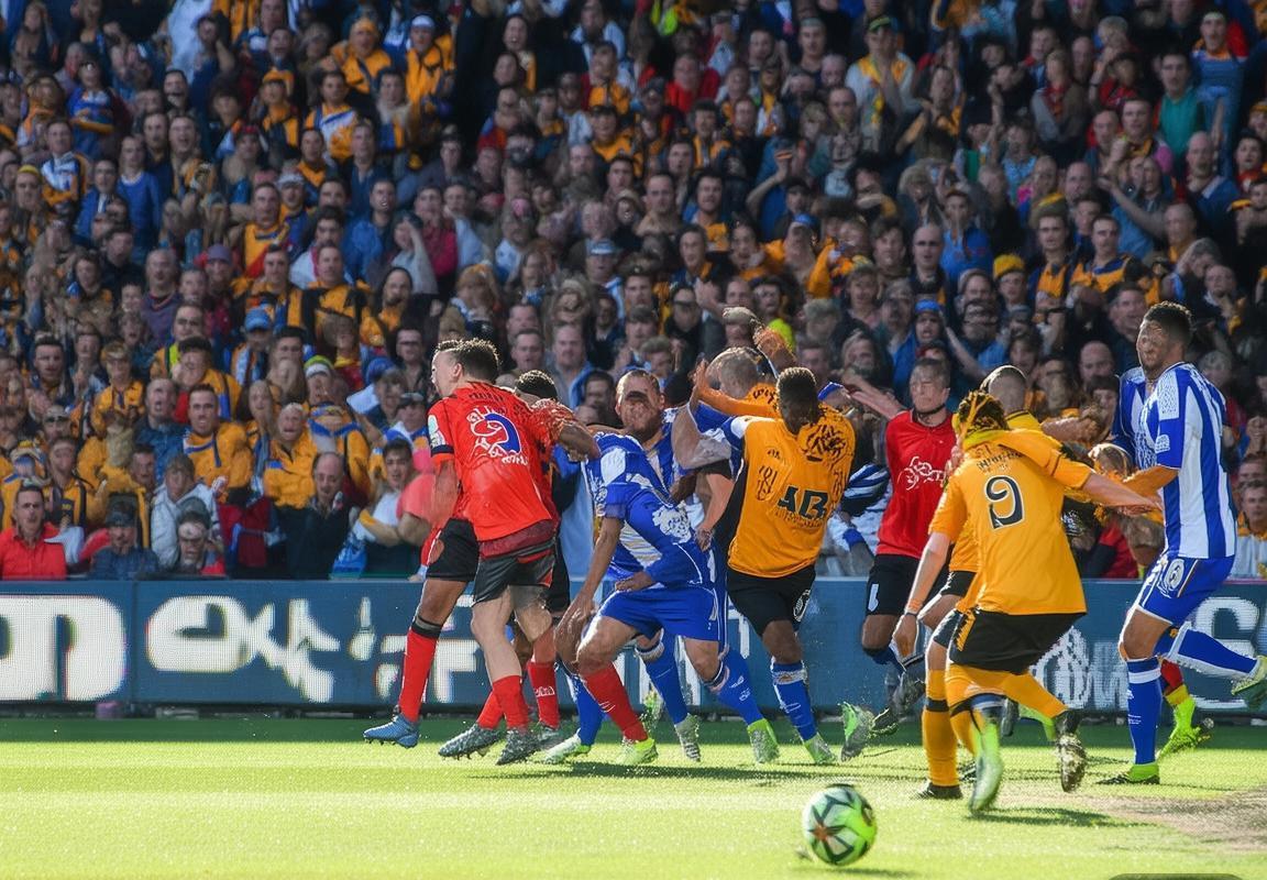 2017英冠联赛：狼队VS布莱顿巅峰对决回顾