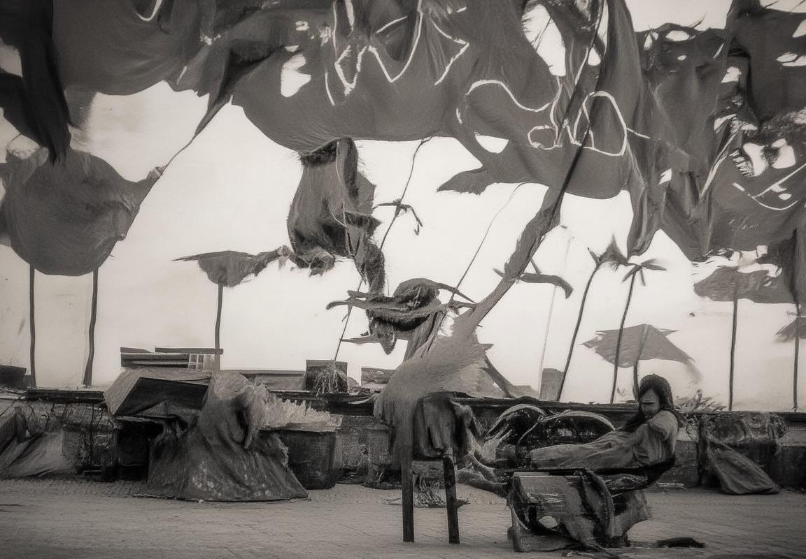 方硕篮球生涯：从新星到佼佼者的蜕变之路(图2)